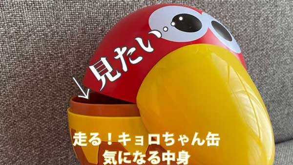 完全公開 おもちゃの缶詰 走る キョロちゃん缶 の中身 バッタブログ